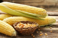 哪些食物可以明顯提高記憶力？記憶力下降吃些什么食物好？[圖]