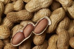清肺化痰有哪些食物？吃什么可以有效清肺化痰？[圖]