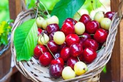 夏季吃什么可以排毒？夏季排毒食物有哪些呢？[圖]