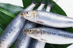 吃馬鮫魚(yú)有什么副作用嗎？怎么挑選馬鮫魚(yú)？[圖]