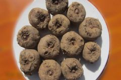 什么是“三芋五鮮”？應(yīng)季養(yǎng)生食材怎么挑選？[圖]