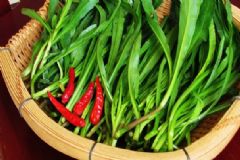 野菜有哪些？常見的野菜有哪些？[圖]