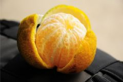 什么桔子皮能做陳皮？做陳皮的橘子[多圖]