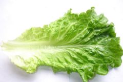 生菜發(fā)苦怎么回事？生菜發(fā)苦能吃嗎？[多圖]