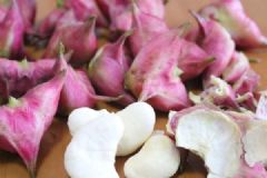菱角怎么煮熟？菱角的烹飪方法有哪些？[多圖]