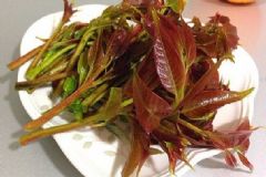 香椿的營(yíng)養(yǎng)吃法有哪些？怎樣吃香椿更營(yíng)養(yǎng)？[圖]