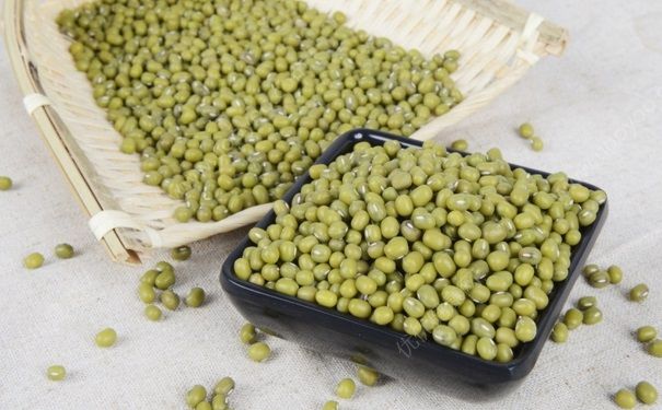 冬天吃綠豆健康嗎？冬天吃綠豆好不好？(3)