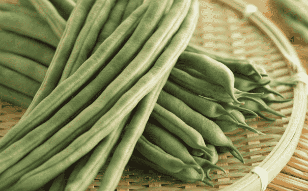 經(jīng)常吃四季豆有什么好處？經(jīng)常吃四季豆的好處有哪些呢？(1)