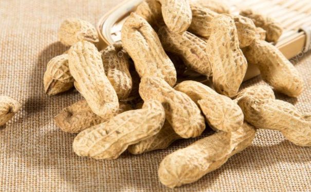 黃瓜不能與什么一起吃？哪些食物不能與黃瓜一起吃？(4)