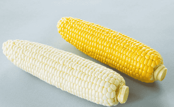 玉米具有哪些功效作用？多吃玉米有哪些好處？(1)