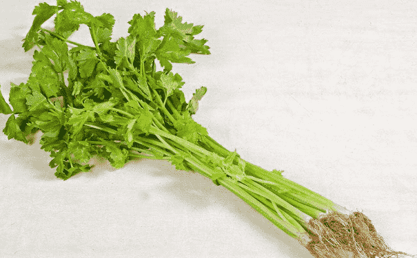芹菜好吃的做法有哪些？吃芹菜對(duì)身體有哪些好處？(1)