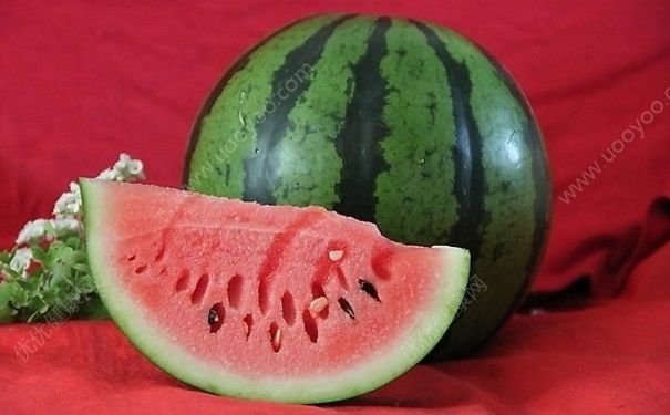 夏季吃什么水果清熱潤(rùn)燥？夏季最適合吃西瓜敗火(1)