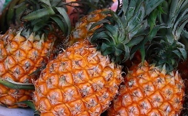 常見水果的健康吃法有哪些？怎樣吃水果對健康更有利？(2)