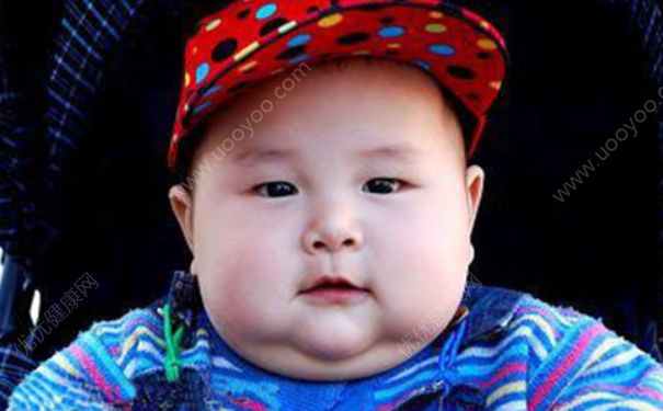 肥胖兒童膳食如何安排？肥胖兒童減肥要注意什么？(2)