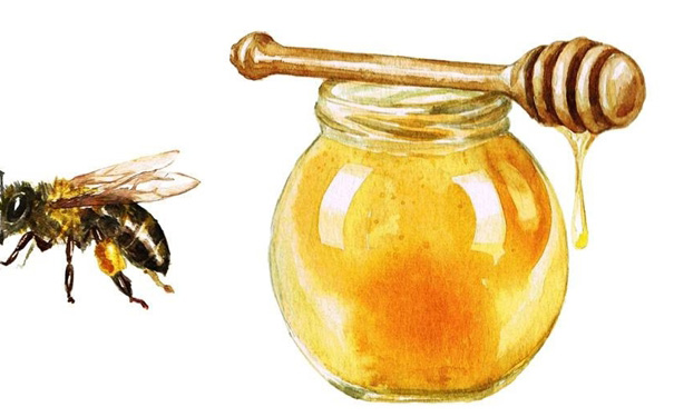 蜂蜜和蜂蜜和什么一起吃最好？原來(lái)養(yǎng)生專家都這樣吃蜂蜜？(1)