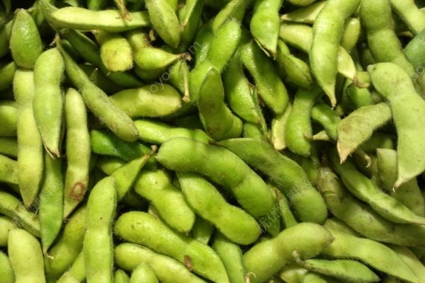 豆類(lèi)蔬菜如何選購(gòu)？購(gòu)買(mǎi)常見(jiàn)豆類(lèi)蔬菜要注意這些(1)