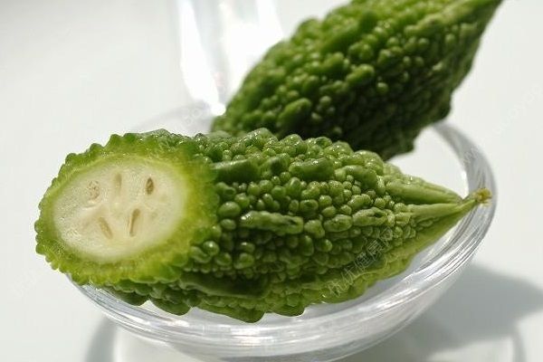 吃苦瓜減肥的原理是什么？苦瓜這樣吃瘦身最有效(1)