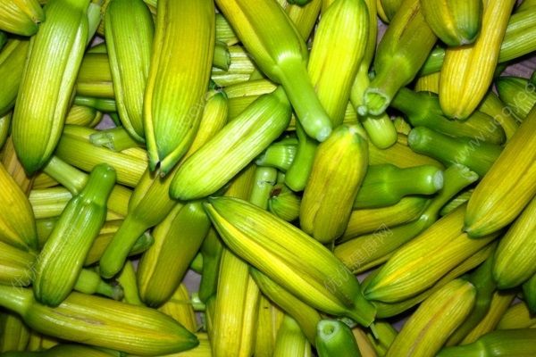 如何防止吃蔬菜中毒？吃蔬菜中毒是怎么回事？(3)