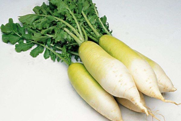 白蘿卜的相克食物有哪些？什么食物不能與白蘿卜同吃？(3)