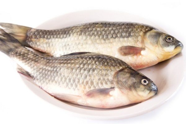 鯽魚的營養(yǎng)功效有哪些？怎樣吃鯽魚對健康最有利？(3)