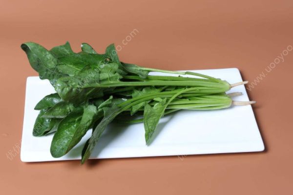 哪些食物同吃是相克的？菠菜與瘦肉能同吃嗎？(2)