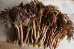 香椿怎么吃最營養(yǎng)？香椿炒雞蛋怎么做？[圖]
