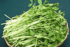 綠豆芽和什么搭配比較好？食用綠豆芽要注意什么？[圖]