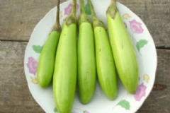 綠皮茄子有什么做法？吃綠皮茄子有什么好處？[圖]