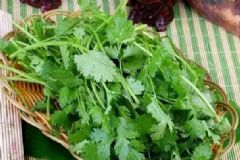 香菜的美味養(yǎng)生吃法有哪些？香菜怎么吃最健康？[圖]