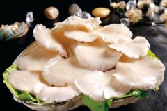 平菇的家常做法是什么？如何購(gòu)買(mǎi)優(yōu)質(zhì)平菇？[圖]