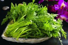 茼蒿的營養(yǎng)有哪些價值？茼蒿的營養(yǎng)吃法是什么？[圖]