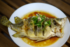桂魚的存儲有什么方法？桂魚的食用方法有什么？[圖]