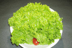 生菜和什么一起吃比較好？生菜的營養(yǎng)價值有什么？[圖]