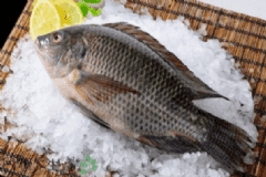 羅非魚的營養(yǎng)價值有什么？羅非魚的食用方法有什么？[圖]