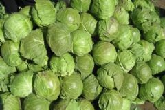 甘藍(lán)菜的養(yǎng)胃食譜有哪些？甘藍(lán)菜怎么吃最養(yǎng)生？[圖]
