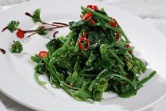 常見野菜的吃法有哪些？常見野菜怎么吃養(yǎng)生？[圖]