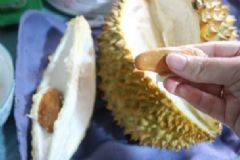 榴蓮核煲老雞的做法？榴蓮核煲老雞怎么做？[圖]