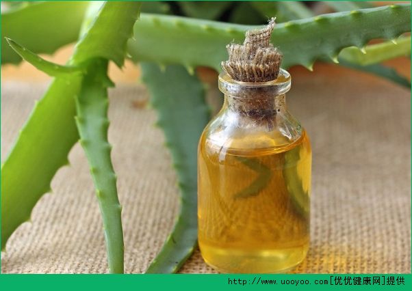 怎么用蘆薈洗頭發(fā)？蘆薈的護發(fā)功效與作用(2)