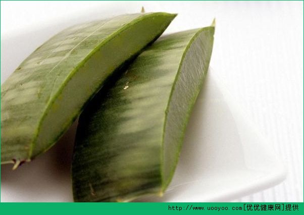 怎么用蘆薈洗頭發(fā)？蘆薈的護發(fā)功效與作用(4)