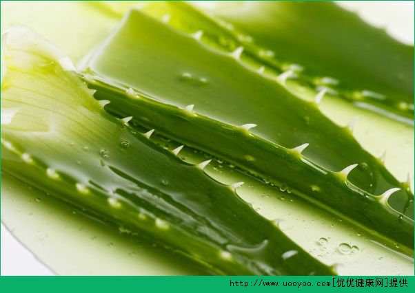 曬后可以用蘆薈膠嗎？曬后用蘆薈膠有用嗎？(2)