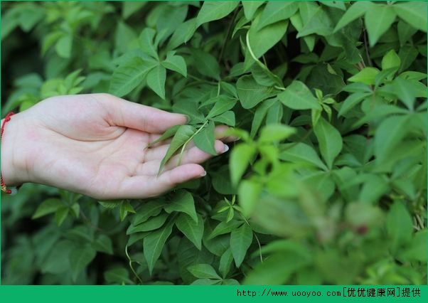 皮膚能整容美白嗎？整容能讓皮膚變白嗎？(4)