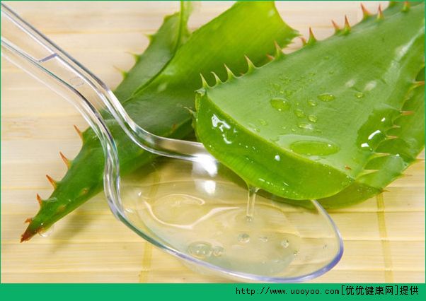 蘆薈可以保濕嗎？怎么用蘆薈來補(bǔ)水呢？(3)
