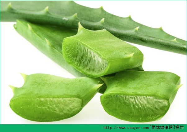 蘆薈可以保濕嗎？怎么用蘆薈來補(bǔ)水呢？(4)