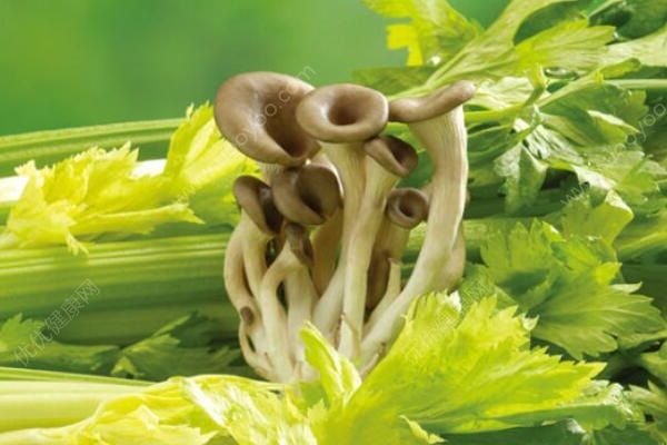 怎樣才能讓皮膚變白？讓皮膚變白的方法(2)