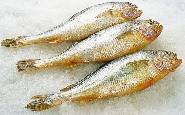 孕婦能吃黃魚嗎？孕婦吃黃魚好嗎？(1)