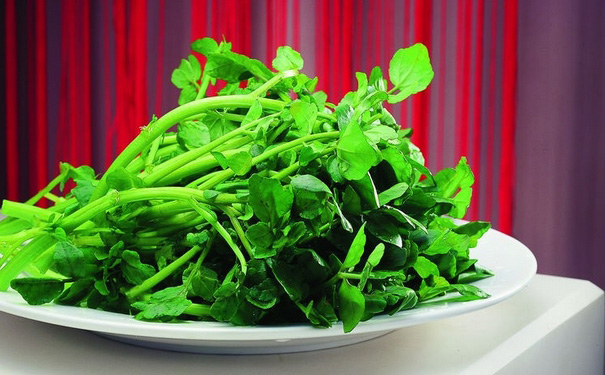 孕婦可以食用西洋菜嗎？西洋菜有哪些功效與作用？(1)