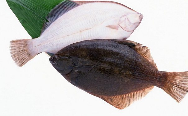 孕婦食用比目魚有什么好處？比目魚的營養(yǎng)價值有哪些？(1)