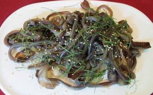 地龍的功效與作用？地龍怎么食用？(1)