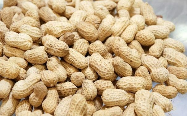 花生發(fā)芽了可以吃嗎？花生發(fā)芽了能吃嗎？(1)