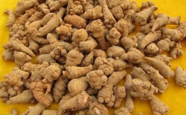 三七止血怎么樣？三七止血效果(1)